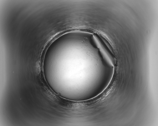 X0000096441212200801241352