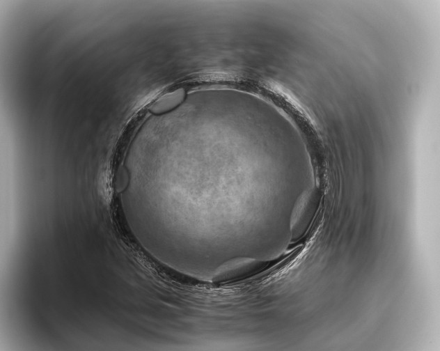 X0000096441213200801241352