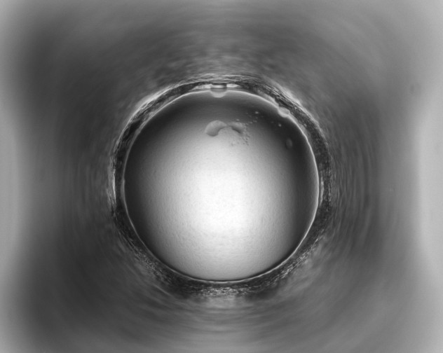 X0000096441214200801241352
