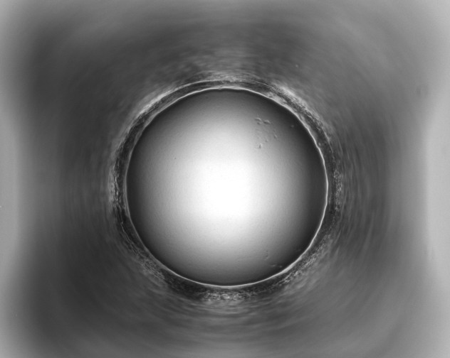 X0000096441215200801241352