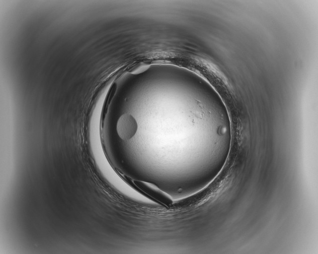 X0000096441217200801241352