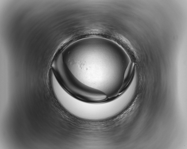 X0000096441218200801241352