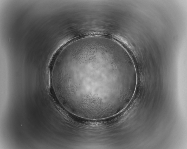 X0000096441219200801241352