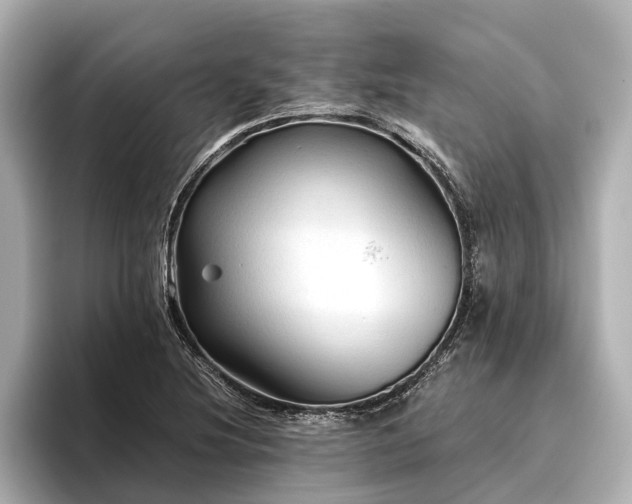 X0000096441220200801241352