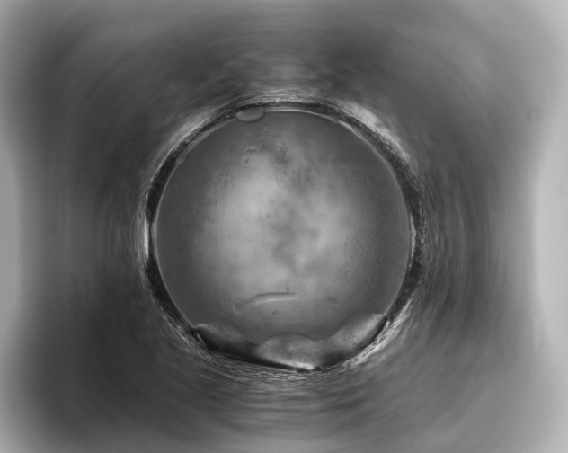 X0000096441221200801241352