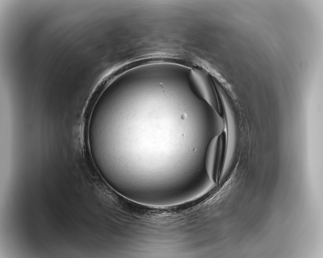 X0000096441222200801241352