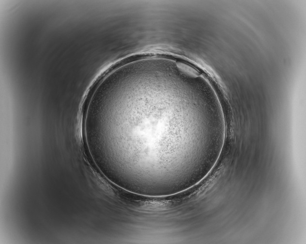 X0000096441224200801241352