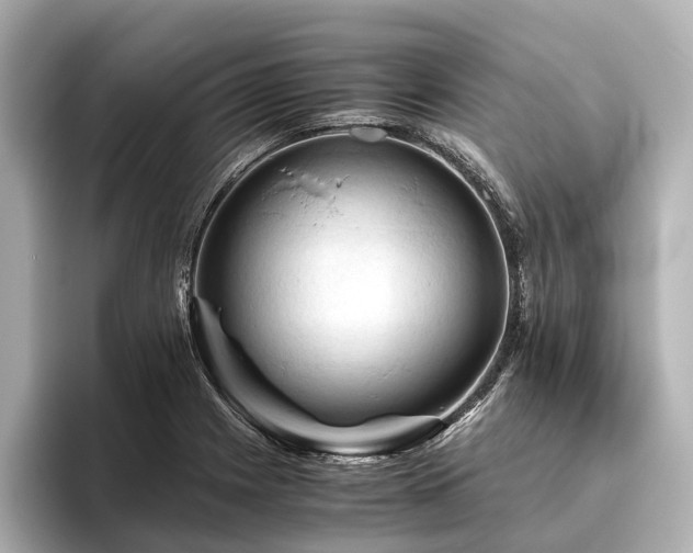 X0000096441225200801241352