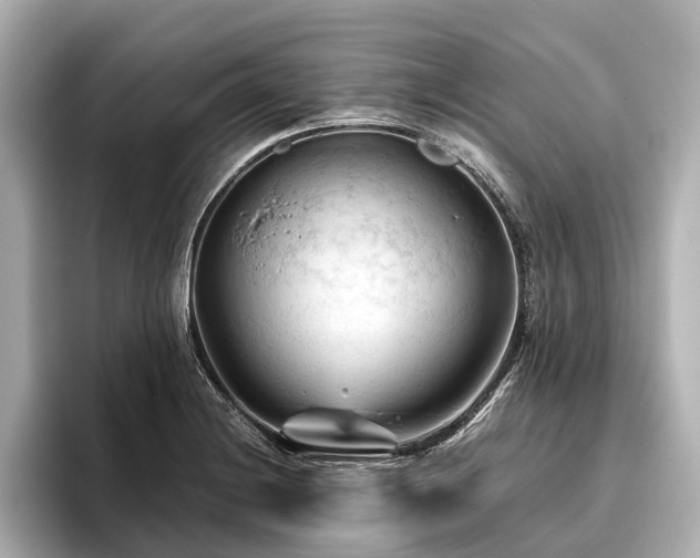 X0000096441228200801241352