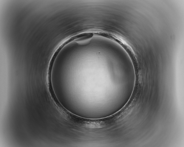 X0000096441229200801241352