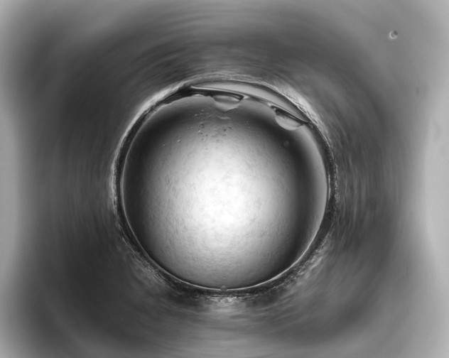 X0000096441230200801241352