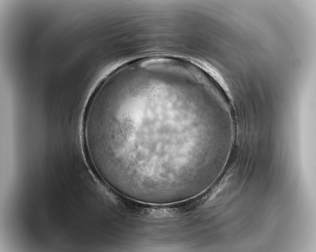 X0000096441231200801241352