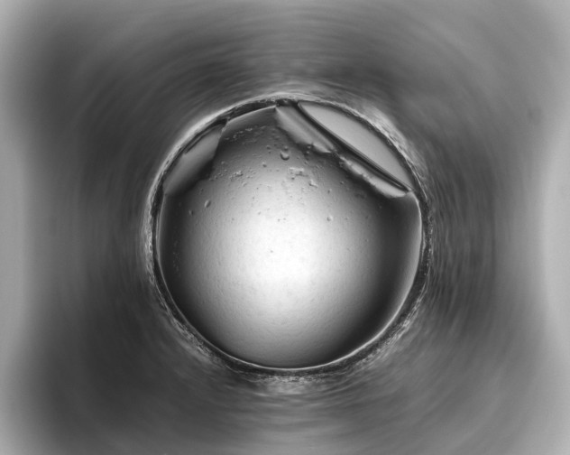 X0000096441232200801241352