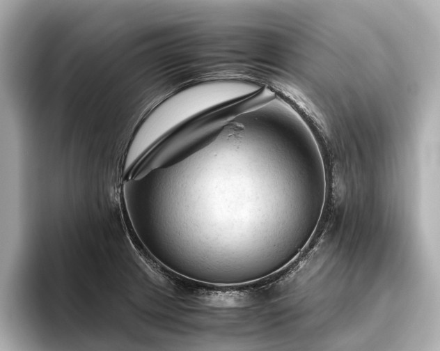X0000096441233200801241352