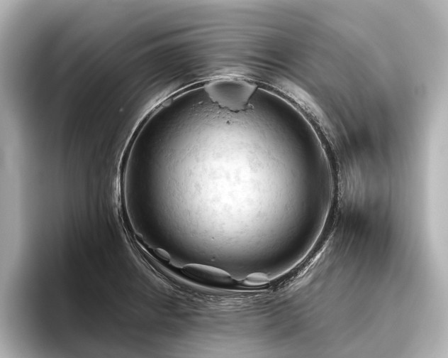 X0000096441234200801241352