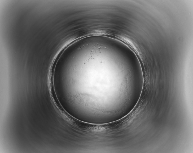 X0000096441235200801241352
