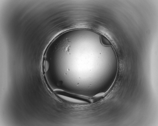 X0000096441236200801241352