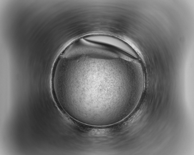 X0000096441237200801241352