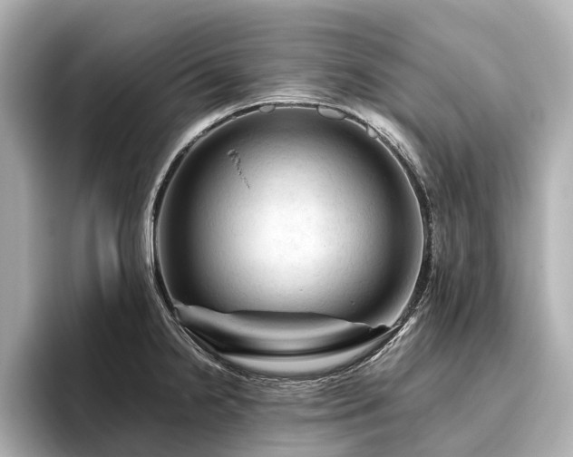 X0000096441238200801241352