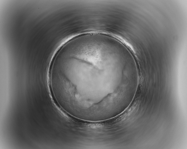 X0000096441239200801241352