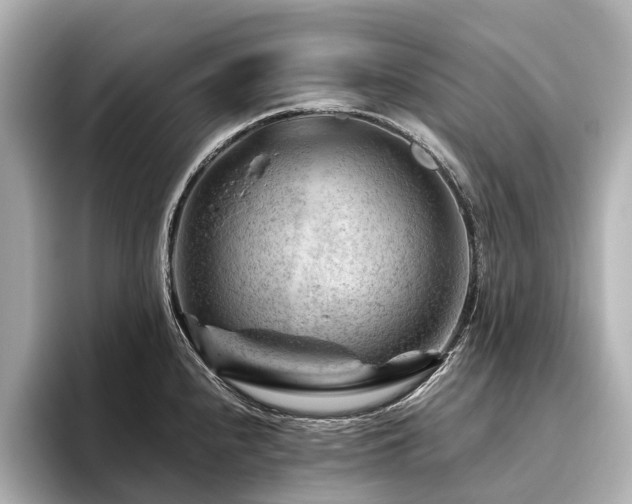 X0000096441240200801241352