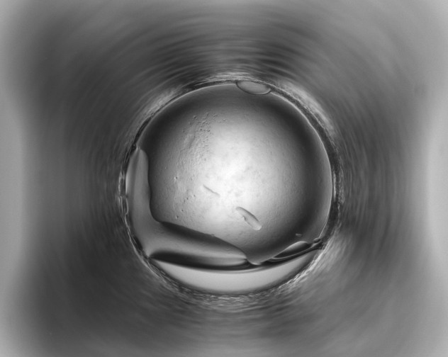 X0000096441241200801241352