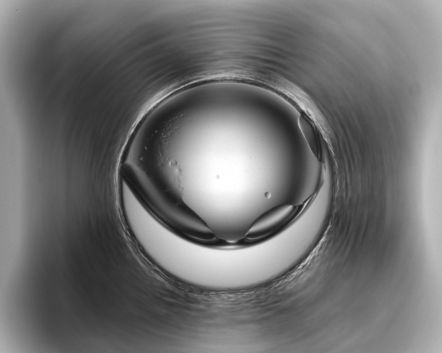 X0000096441242200801241352