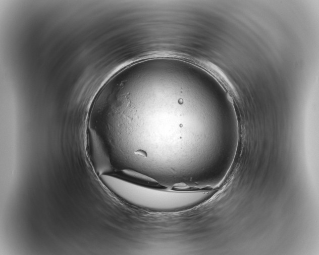 X0000096441244200801241352
