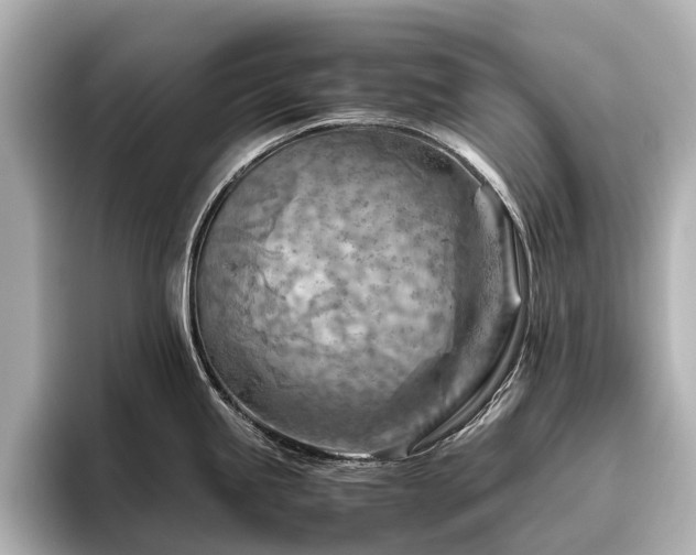 X0000096441245200801241352