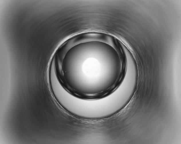 X0000096441246200801241352