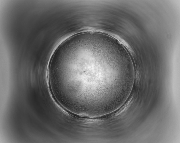 X0000096441247200801241352