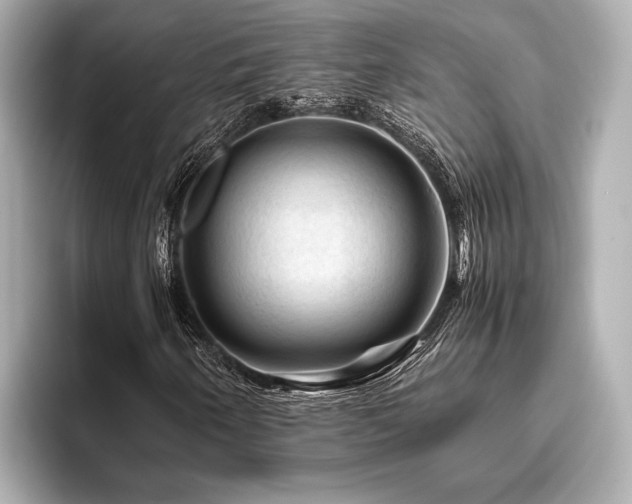 X0000096441250200801241351