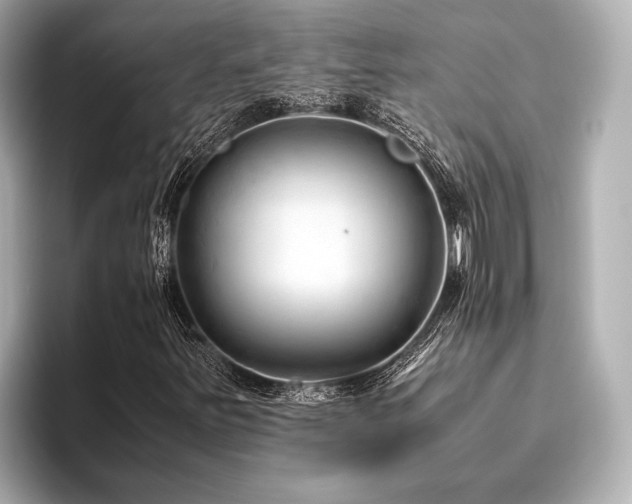 X0000096441251200801241351
