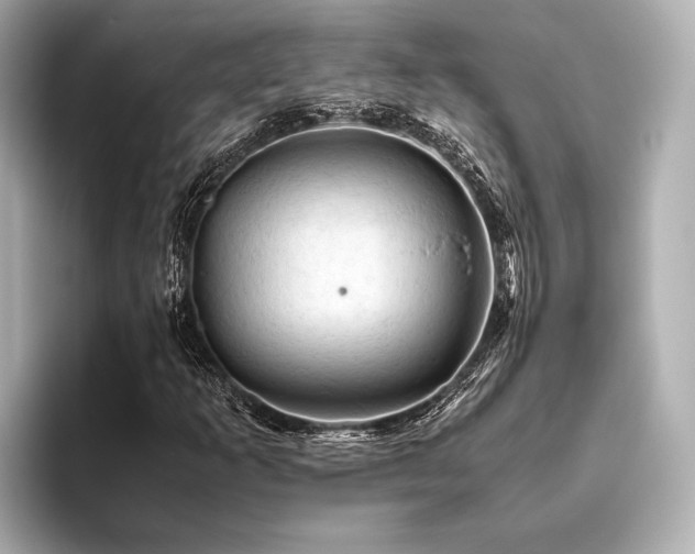 X0000096441253200801241351