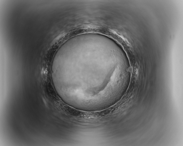 X0000096441254200801241351