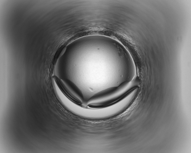 X0000096441257200801241351
