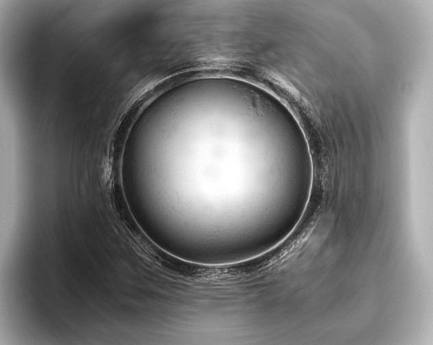 X0000096441259200801241351