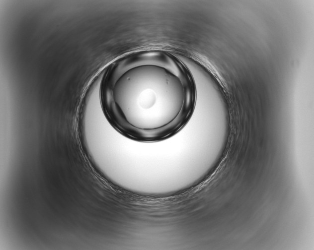 X0000096441260200801241351
