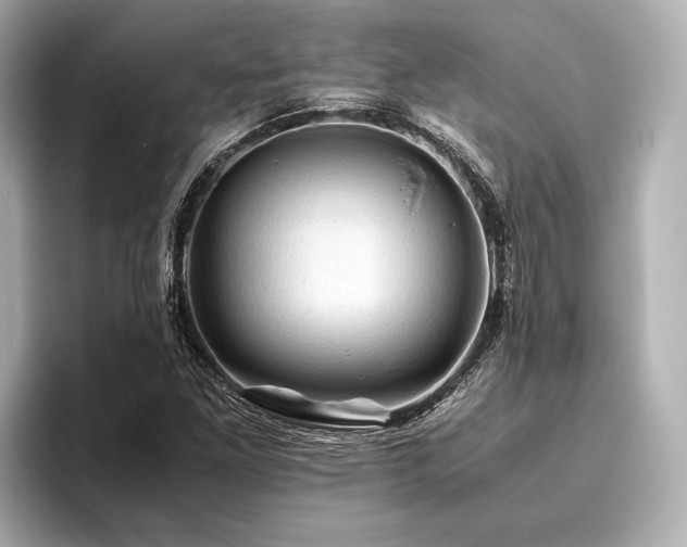 X0000096441261200801241351
