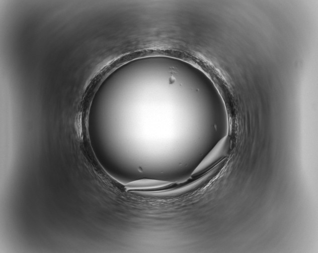 X0000096441262200801241351