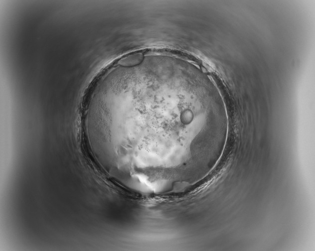 X0000096441263200801241351
