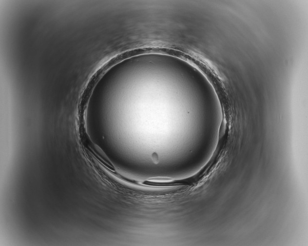 X0000096441264200801241351