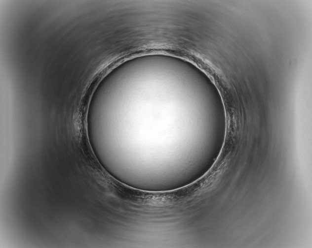 X0000096441266200801241351