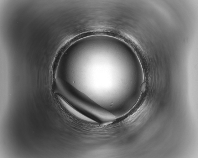 X0000096441267200801241351