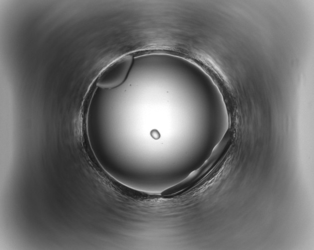 X0000096441268200801241351