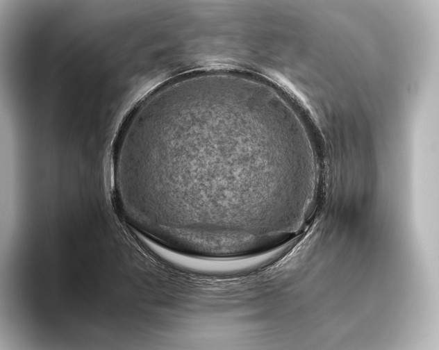 X0000096441269200801241351