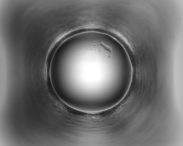X0000096441270200801241351