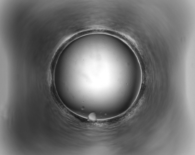 X0000096441271200801241351