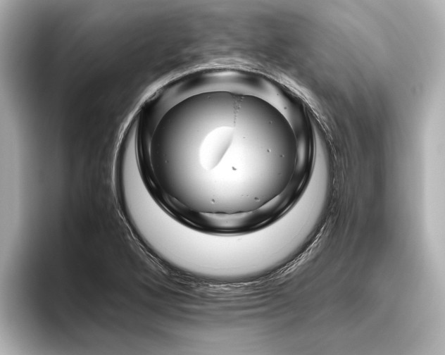 X0000096441272200801241351