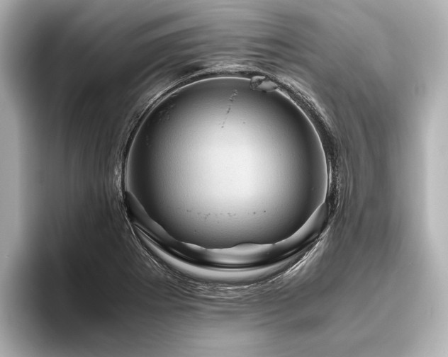 X0000096441273200801241351